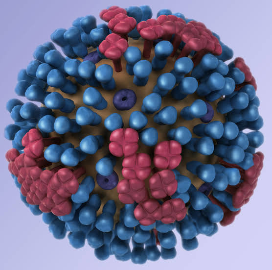 मौसमी इन्फ्लुएंजा वायरस की रोकथाम की तैयारियों को लेकर अपर सचिव चिकित्सा अमनदीप कौर की अध्यक्षता में अहम बैठक