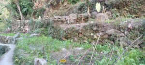 IMG-20240104-WA0003