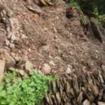 IMG-20250826-WA0066